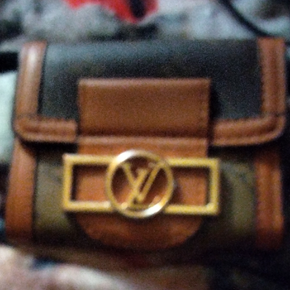 Louis Vuitton Elegant Brown and Black Wallet